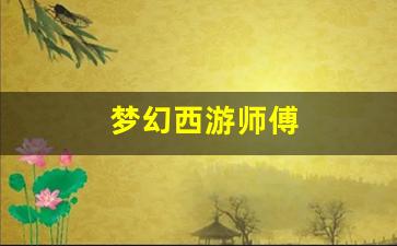 新梦幻西游私服：梦幻西游师傅 (4)