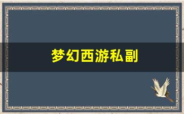 梦幻西游私副 (14)