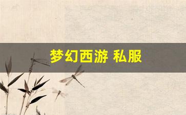 梦幻西游 私服(梦幻西游sf发布网)