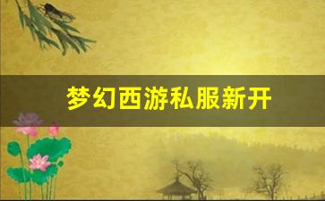 梦幻西游私服新开 (8)