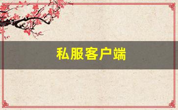 梦幻西游吧：私服客户端 (12)