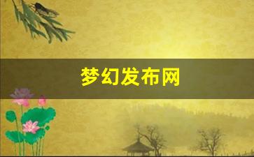 梦幻发布网(梦幻发布会) (4)