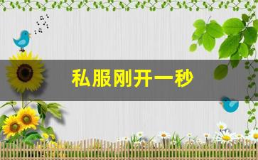 梦幻西游私服发布站：私服刚开一秒(刚开一秒单职业传奇sf) (5)
